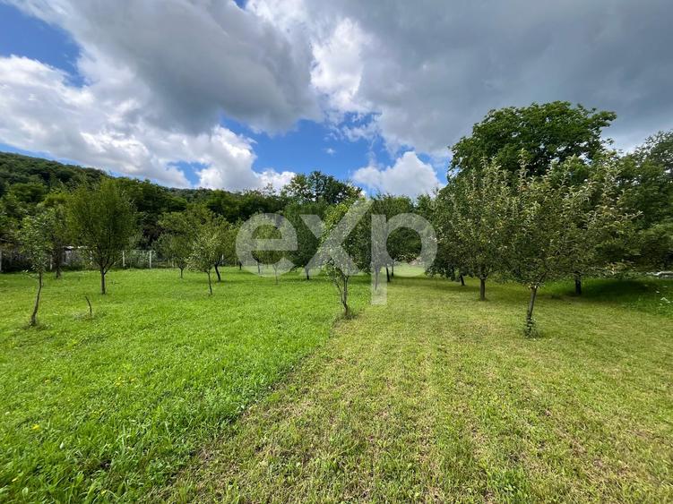 Casă P+M la roșu 188 mp și teren de 3.400 mp cu livadă in Pucioasa-Sat
