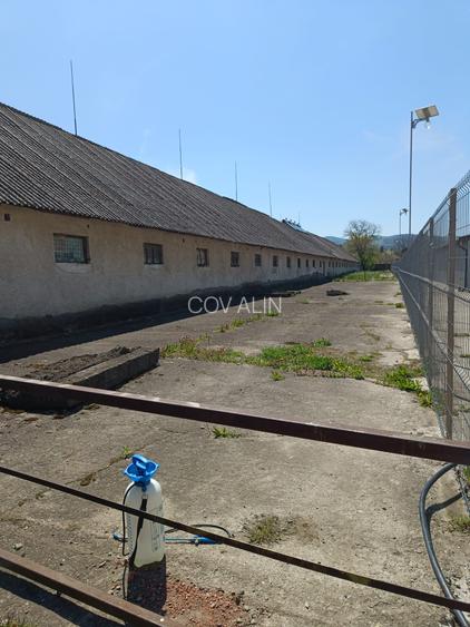 Imobil pretabil depozitare, comert, cladire 1000 mp, teren 3416 mp in BUDILA - 5