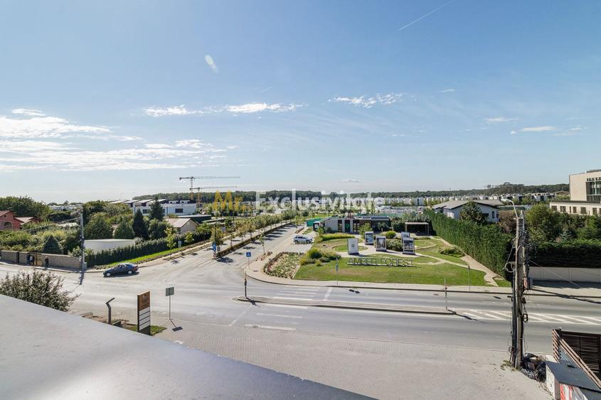 Spatiu comercial de la 14 euro de inchiriat Amber Forest Plaza