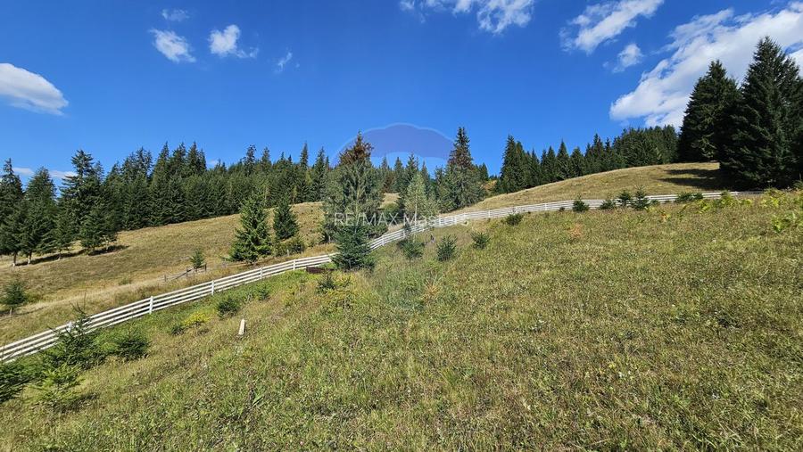 Casă / Vilă de vacanta in Dorna Arini, Suceava - 58