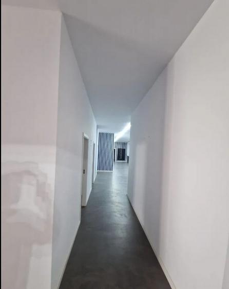 Delfinariu - bd. Mamaia, spatiu comercial , 325 mp.