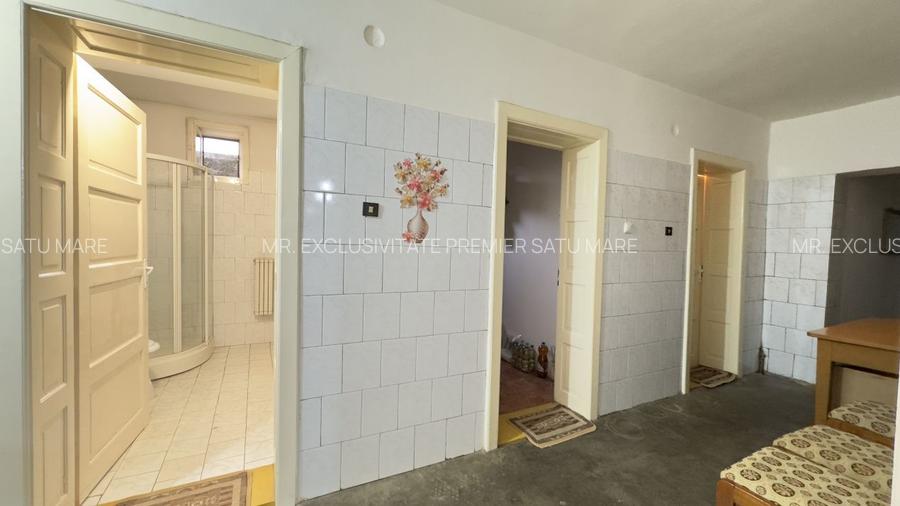 Casă 7 camere cu Teren 4.620 mp | Potențial pentru rezidență sau afacere | Carei - 15