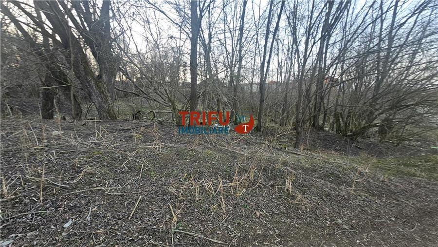 Teren Intravilan de Vânzare în Oarda