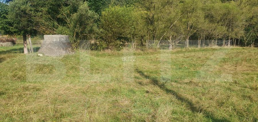 Teren intravilan, 1322 mp, zona Vatra Dornei - 4