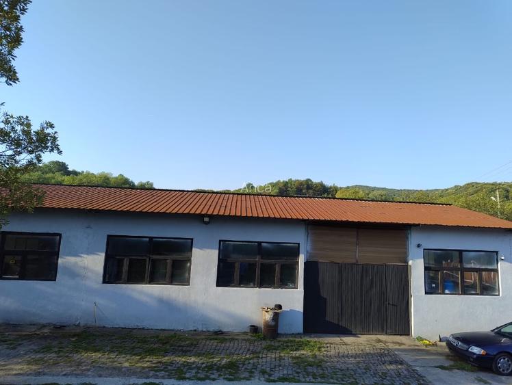 Teren constructii intravilan 3600mp Morilor - 2