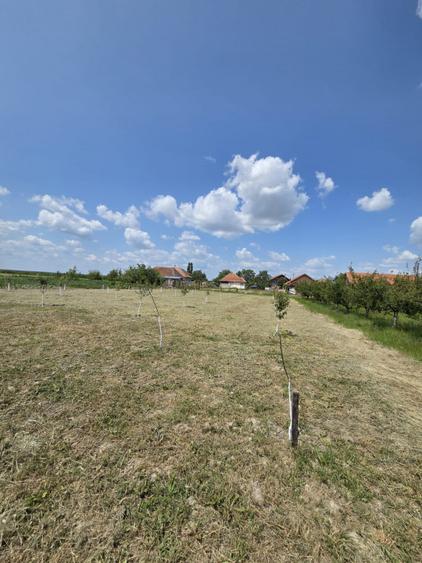 Casă  cu teren de 40 ari în localitatea Gelu