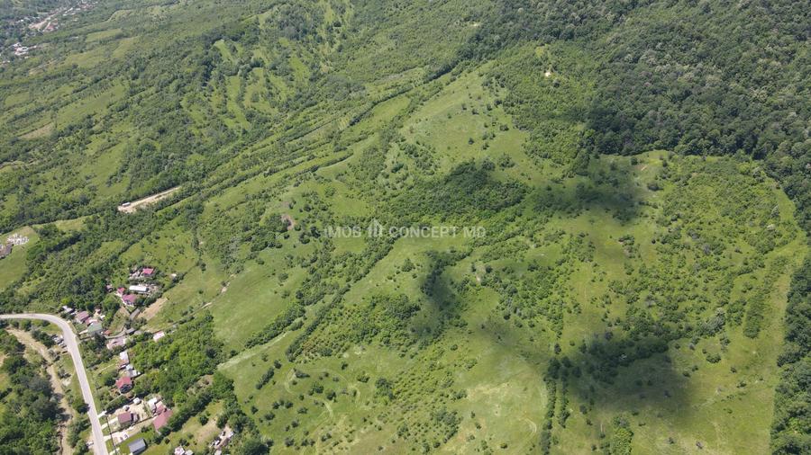 Teren spectaculos cu padure, livada si priveliste panoramica in Soimari PH