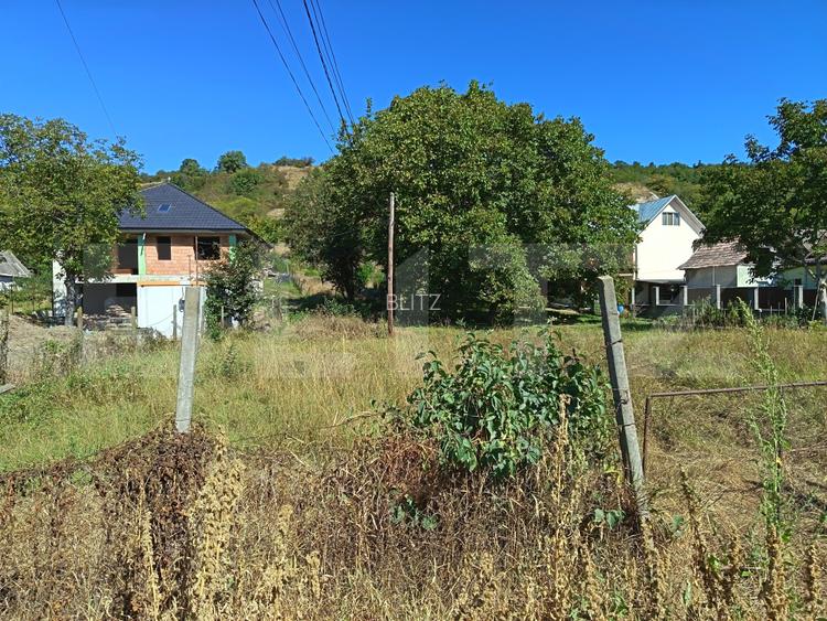 Teren intravilan, 2350 mp, casa demolabila, zona Turda - 3