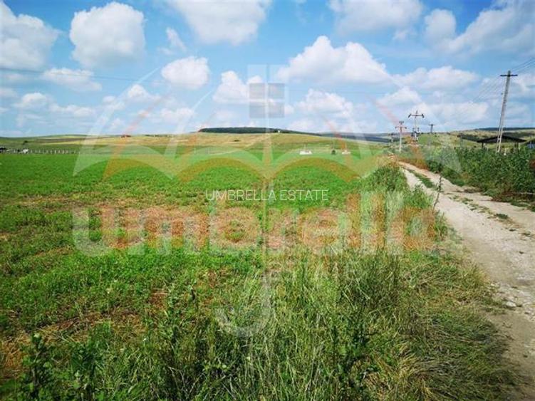 Teren de vanzare in Iclod 8.659m²/10€ m² DN1