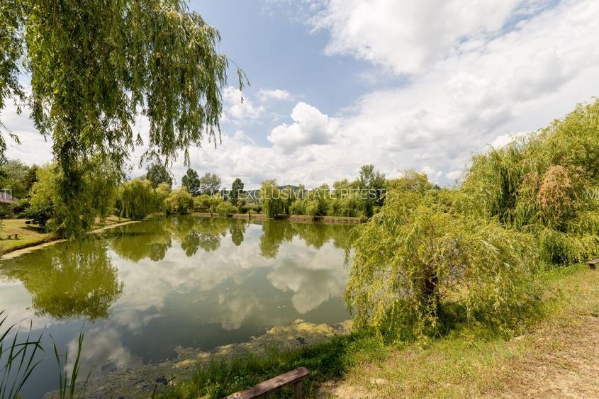 Se vinde Balta Flamina - Sat Bunești, Com. Mălureni - 9