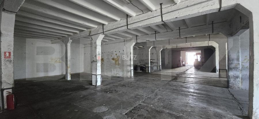 Hală producție/depozitare, de vanzare, 2600 mp, zona Bariera Vâlcii - 16