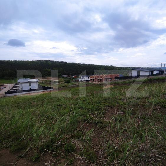 Teren de vânzare în Valea Lupului – Strada Lacului | 2 parcele a câte 580 mp