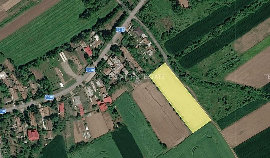 Intravilan 12 euro/mp!!! Cel mai bun pret din zona Nuci ! - 3