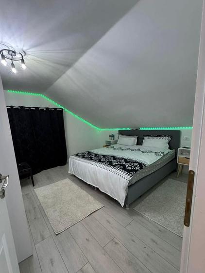 Casa noua de vanzare , Totoi