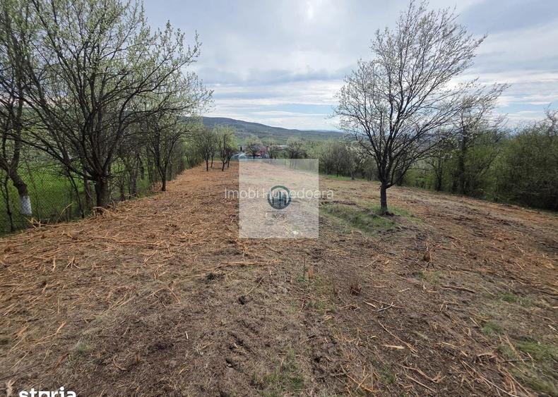 De vânzare teren intravilan – Bârsau, jud. Hunedoara - 14