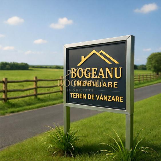 BG136-Teren Agricol 53 ha comasat-DJ 593A-Jud.Timis Peciu Nou