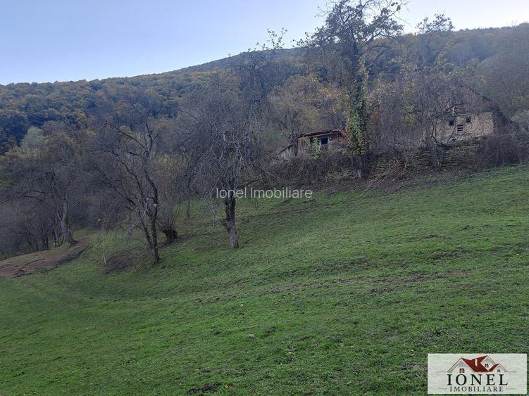 Vanzare casa cu 17399 mp teren Vintu de Jos - Valea Vintului - 5