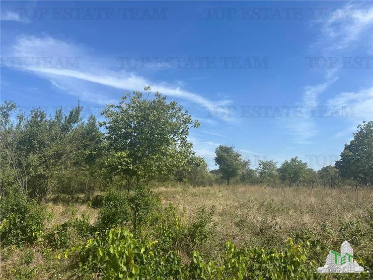 Vanzare teren intravilan construibil in Branesti, Ilfov - 2040 mp, ideal reziden