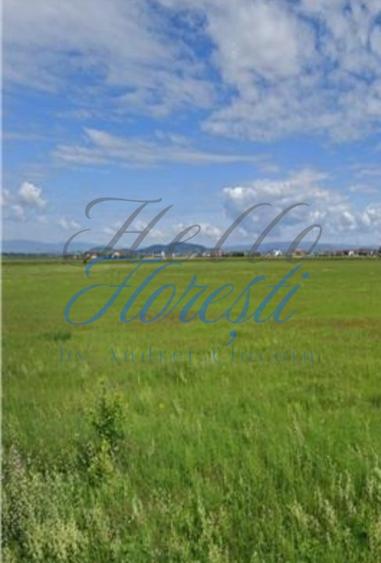 Teren intravilan 1.440mp pretabil duplex | Floresti