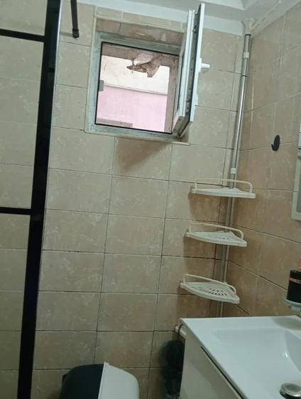 Apartament 3 CAMERE, CU GRADINA, PET FRIENDLY, zona Podu Ros