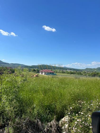 Oportunitate de investitie,Valea ghinzii,Teren de 1,2 Hectare