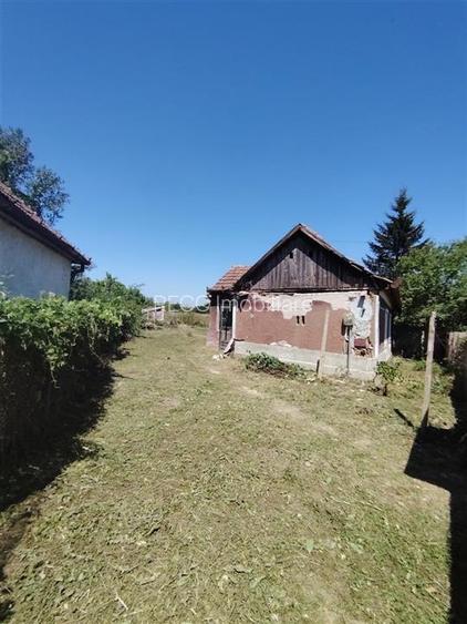 RECO Teren intravilan in Paleu la doar  22euro mp - 3