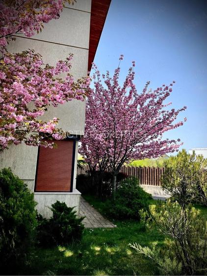 Vila duplex 2007,caramida,P+1+M,5 camere,4 bai,teren 482mp,2 loc. parcare curte - 3