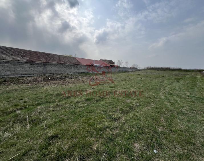 Teren intravilan pentru blocuri la asfalt | Bucovat