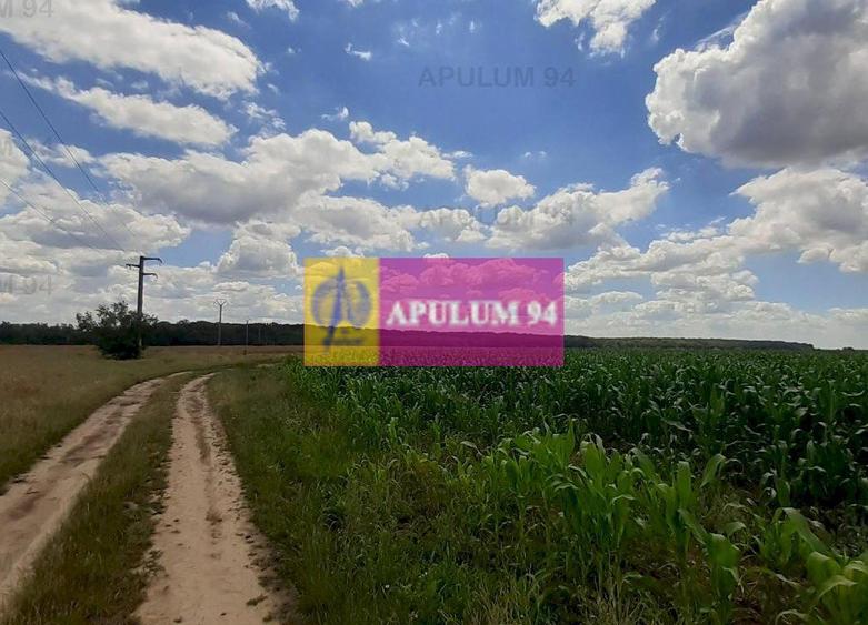 Teren 715mp în Snagov lângă Equestria