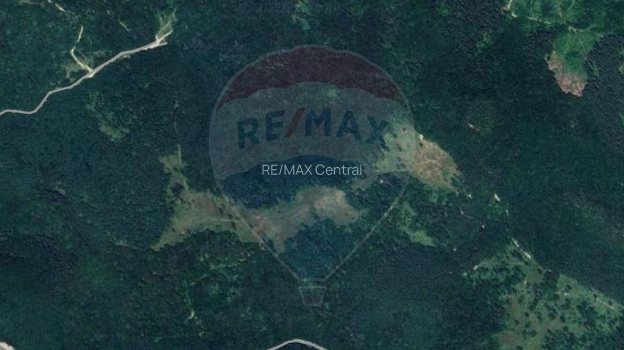 Comision 0% | Teren extravilan 23,000mp | Rasnov Glăjărie | Investitie - 2