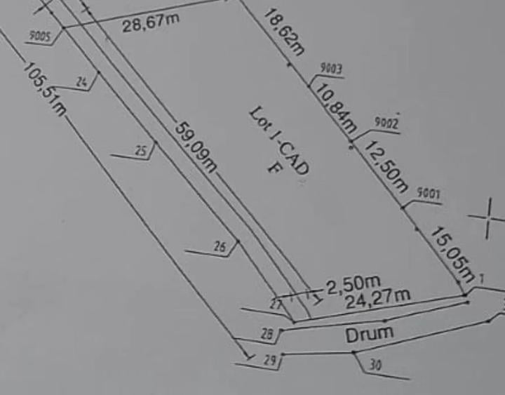 Teren drept de 1342 mp cu front 24 m Belis