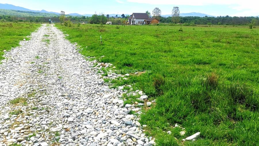 Teren extravilan Valea Avrigului 8000mp zona Panoramic Park - 2