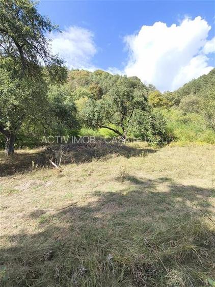 Teren la padure de vanzare Talmaciu Podu Olt - 8