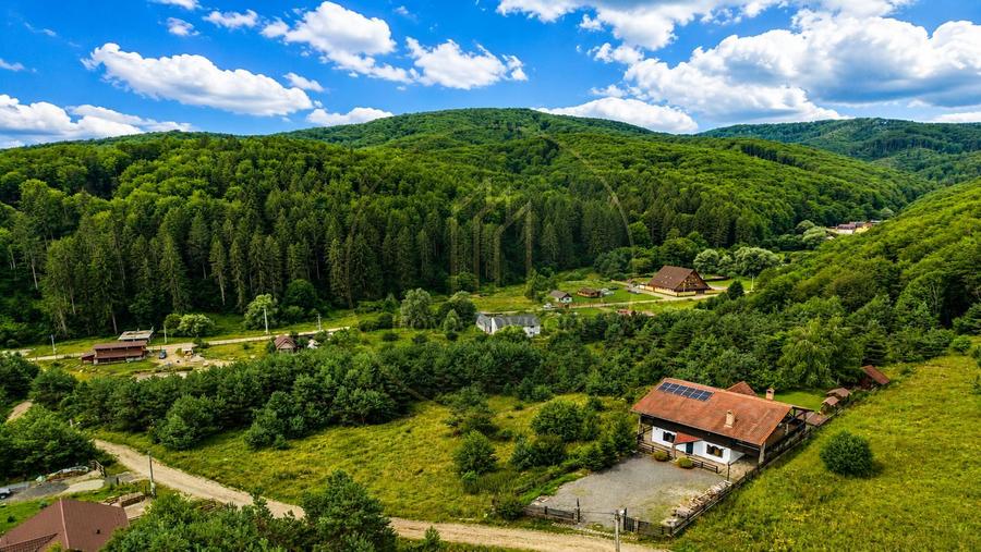 Refugiu în inima naturii | Proprietate premium în Pădurea Bogății