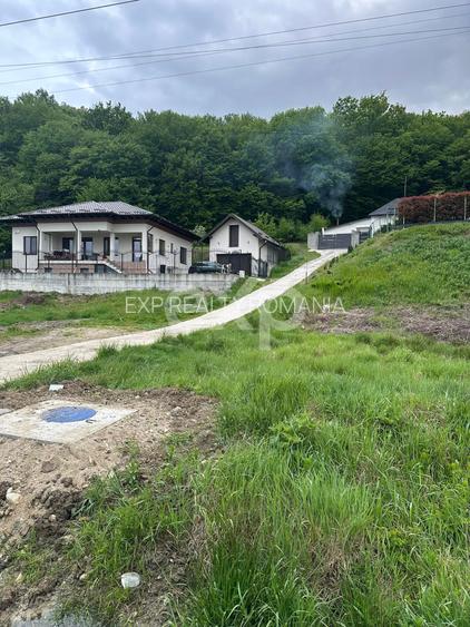 TEREN PREMIUM CU VEDERE SPECTACULOASA LA LIZIERA PADURII | BASCOV | 807 MP | - 2
