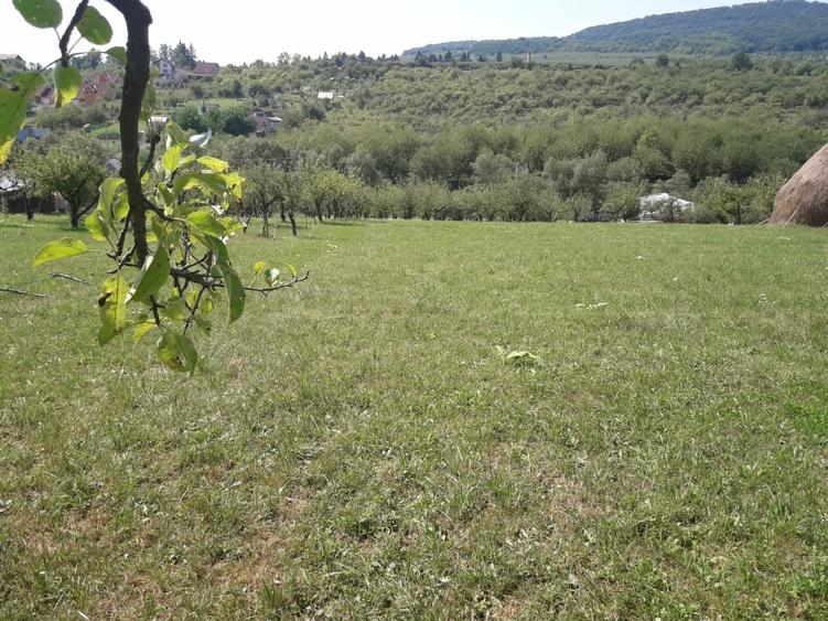 85 ari teren extravilan, intre case, la limita intravilanului Zona Valea Rusului