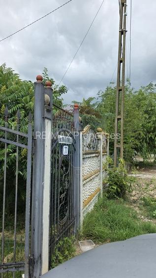 Domeniu rural, gospodarie/multifunctionala cu casa, livada, vie - 18