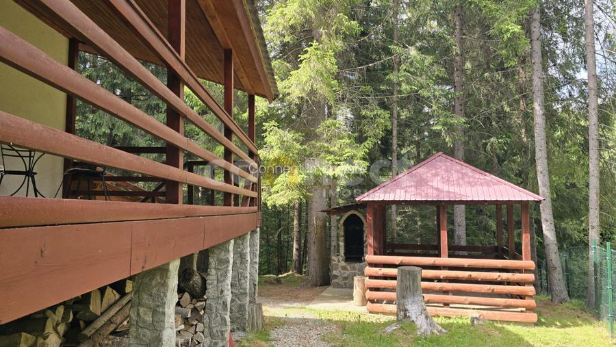 De vânzare casă de vacanță deosebită | Călățele Pădure – Dealul Negru, Cluj - 6
