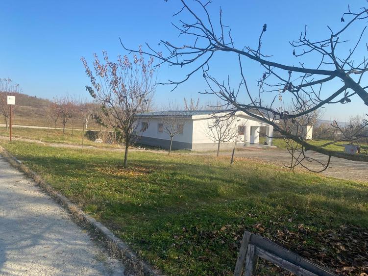 Industrial Property for Sale — Production & Logistics/Warehouse Facility