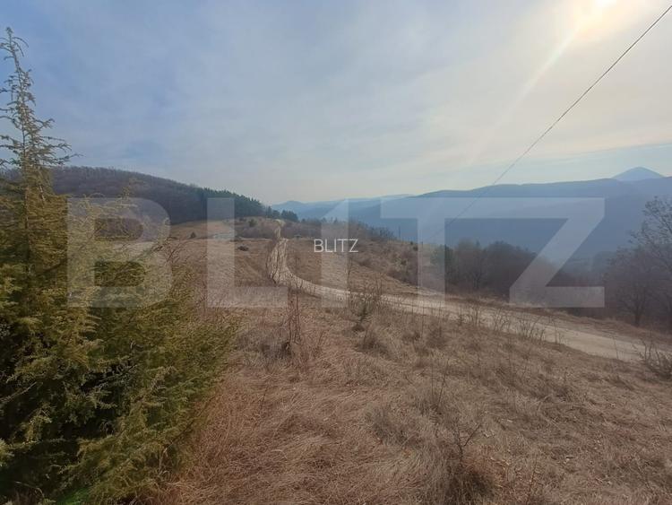 Teren extravilan, 12000 mp, curent com. Ramet - 7