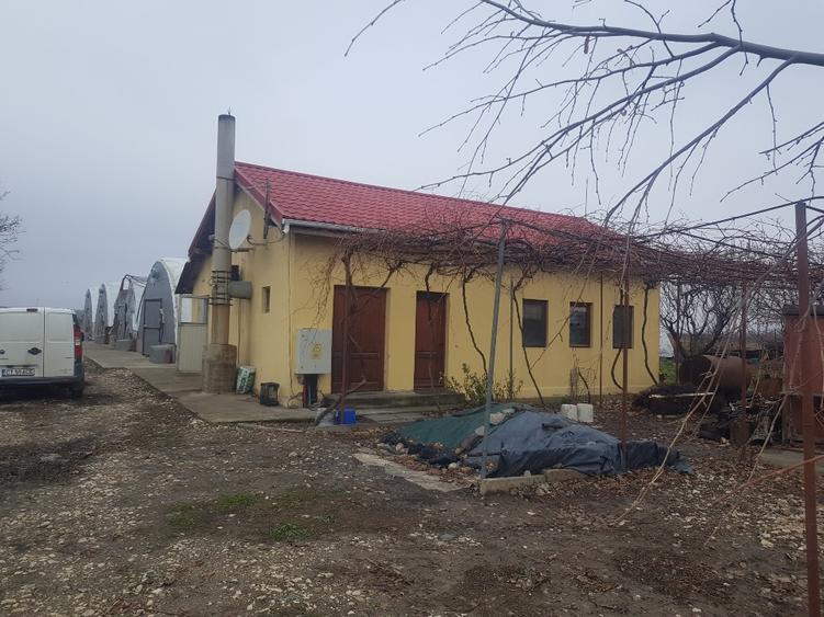 Vând teren intravilan 10.000mp +casa+spatii productie-depozitare