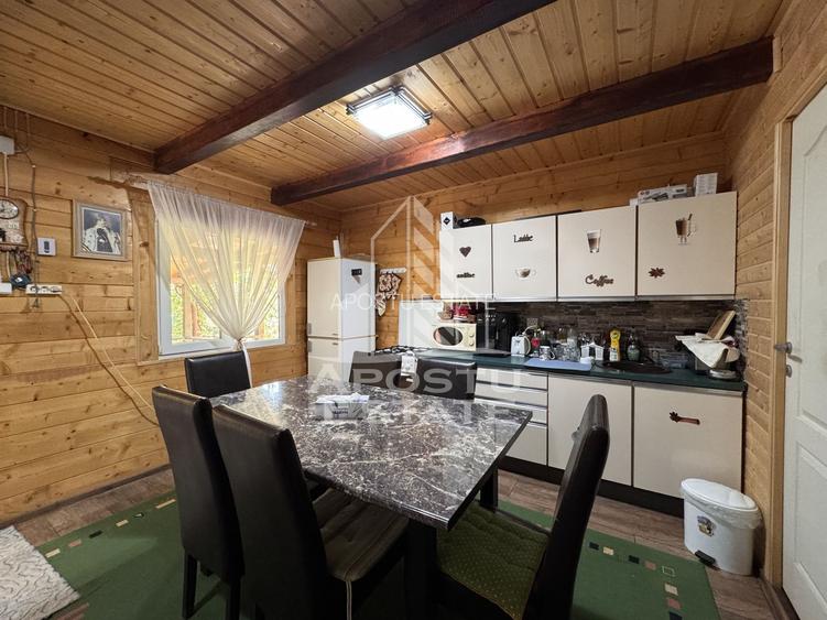 Casa din lemn, zona muntoasa, cu rau, la cheie, Ribita, Hunedoara - 24