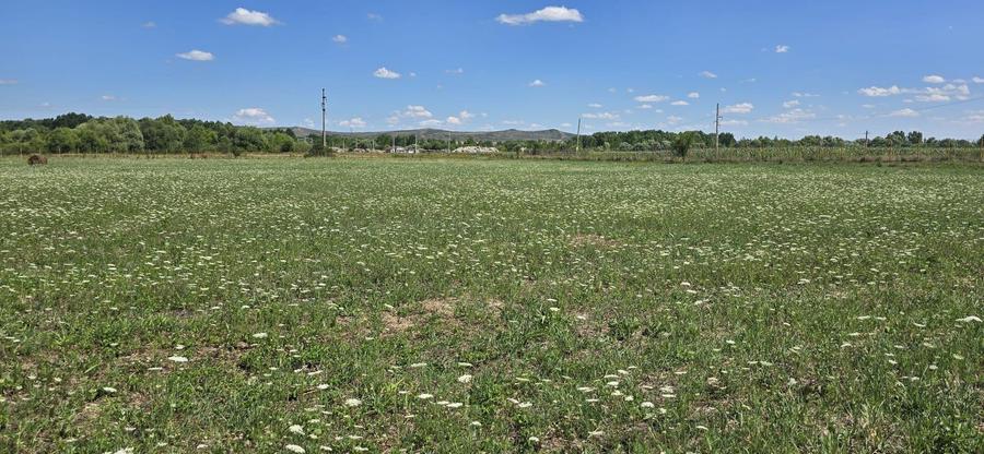Teren în zona Răscruci – ideal pentru hală, toate utilitățile