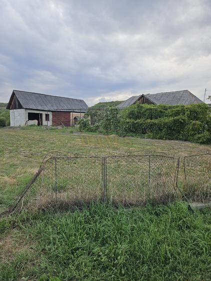 Casă de renovat + 2.900 mp teren, front 38 m – potențial construcție, Ilisua
