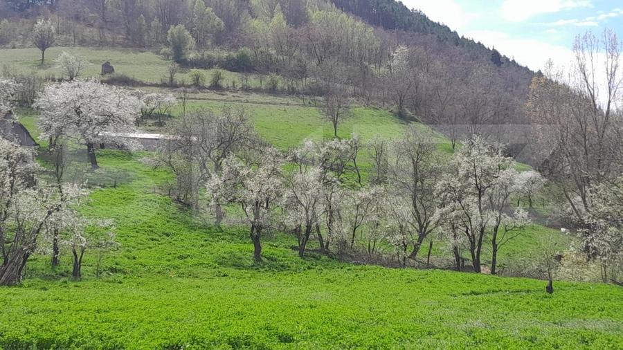 Casa individuala, 3500 mp teren, zona Vintu de Jos, Inuri