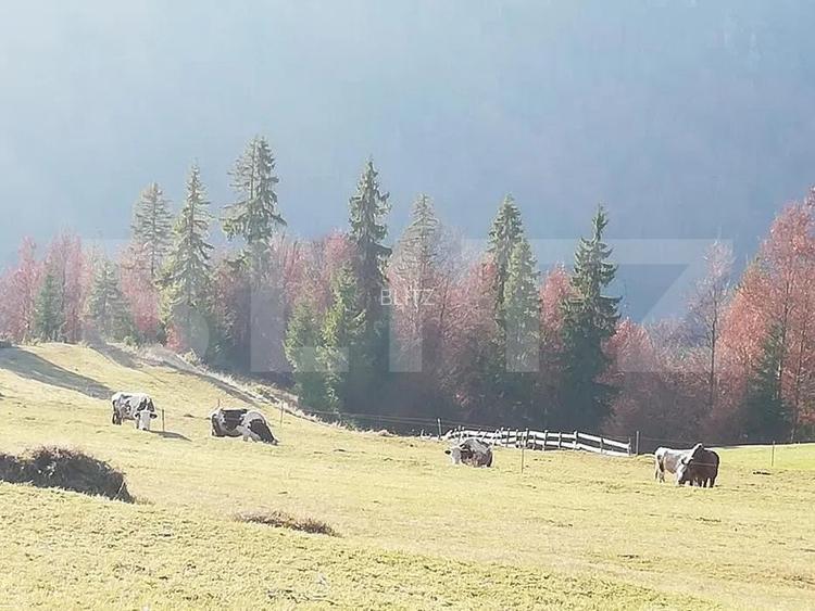Teren de vanzare, Scarisoara,  ideal pentru cabana - 2
