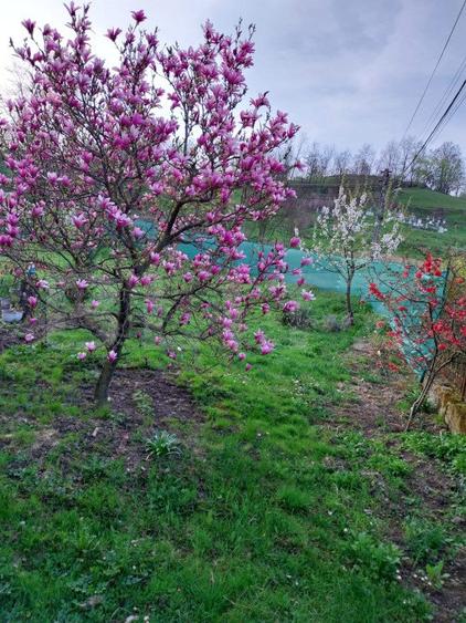 Casă spațioasă cu 7 camere, 200 mp, teren 10 ari, zona Tarlisua