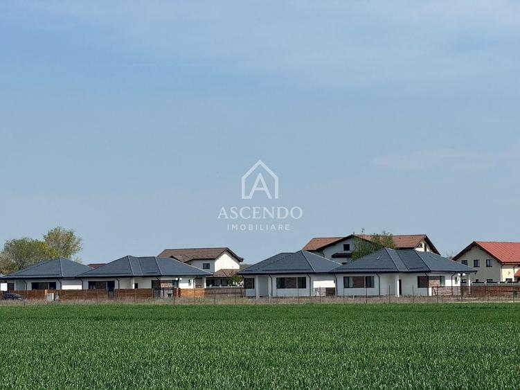Vanzare teren 7.000 mp – Buftea, zona Tămași | lângă pădure