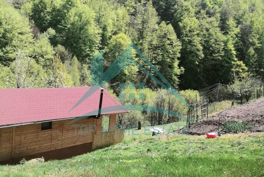 Cabana cocheta de vanzare cu teren generos 3000 mp, Baisoara!