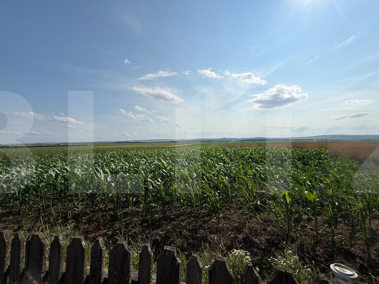 Casă individuală, 235.71 mp, teren 9600 mp- 1001 mp intravilan, Oraș BUCECEA